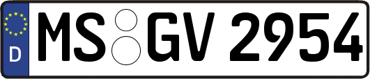 MS-GV2954