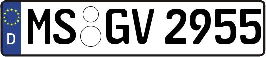 MS-GV2955