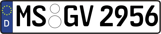 MS-GV2956