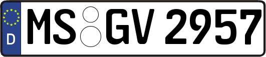 MS-GV2957