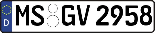 MS-GV2958