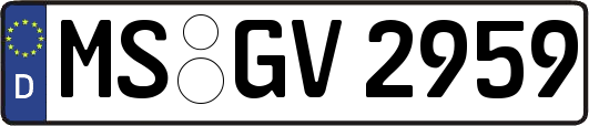 MS-GV2959