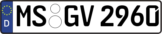 MS-GV2960