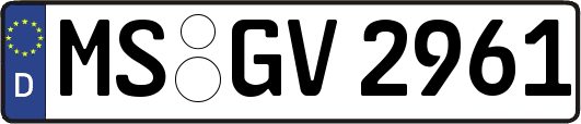 MS-GV2961