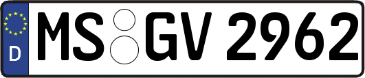MS-GV2962
