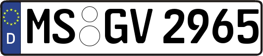 MS-GV2965