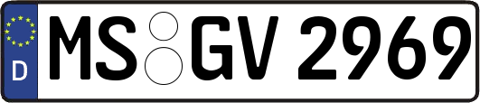 MS-GV2969