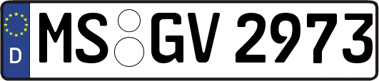 MS-GV2973