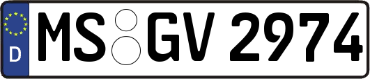 MS-GV2974