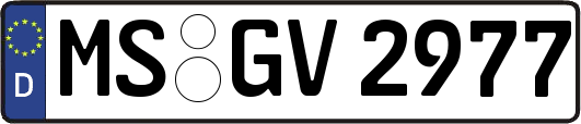 MS-GV2977