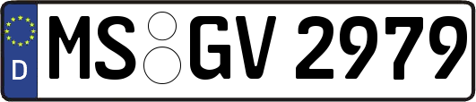 MS-GV2979