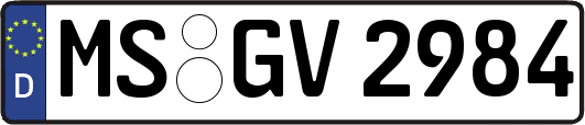 MS-GV2984