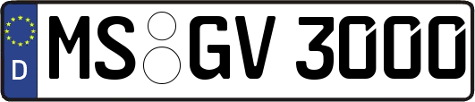 MS-GV3000