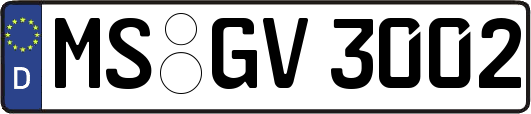 MS-GV3002
