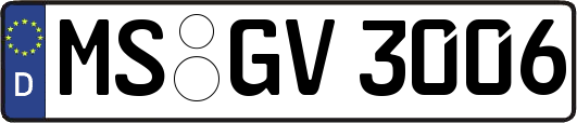 MS-GV3006