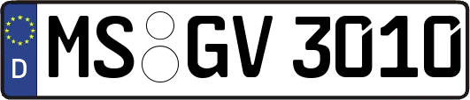 MS-GV3010