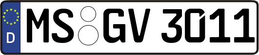 MS-GV3011