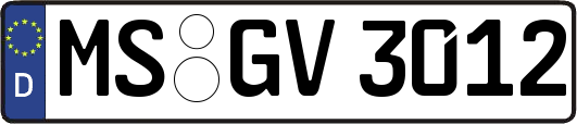 MS-GV3012