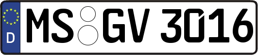 MS-GV3016