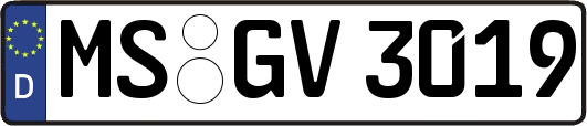 MS-GV3019