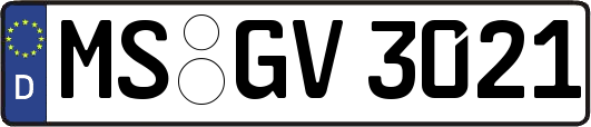 MS-GV3021