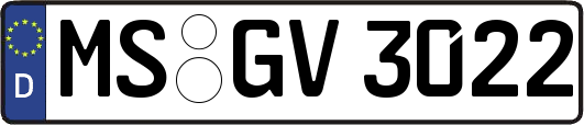 MS-GV3022