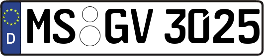 MS-GV3025