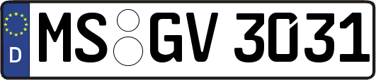 MS-GV3031