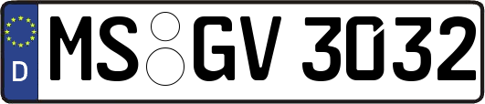MS-GV3032