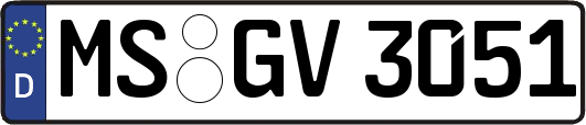 MS-GV3051