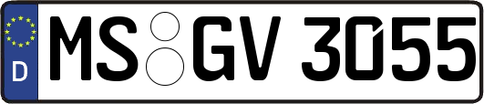 MS-GV3055