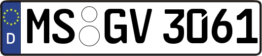MS-GV3061