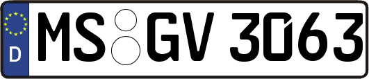 MS-GV3063