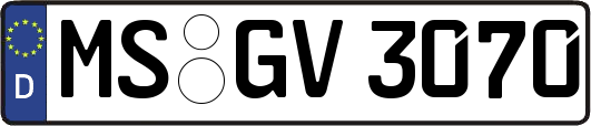 MS-GV3070