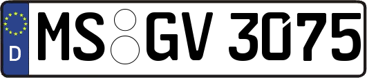 MS-GV3075
