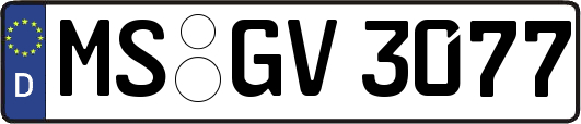 MS-GV3077