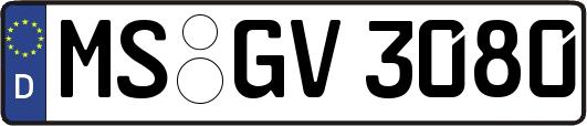 MS-GV3080