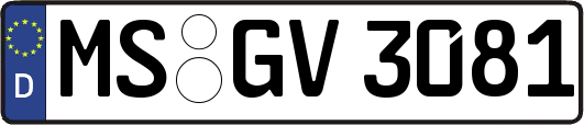 MS-GV3081