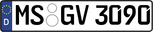MS-GV3090