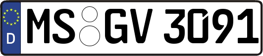 MS-GV3091
