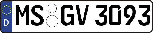 MS-GV3093