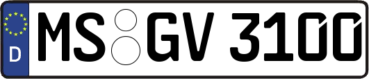 MS-GV3100