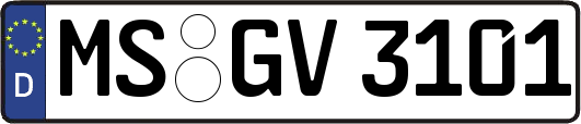 MS-GV3101