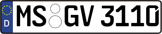 MS-GV3110