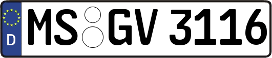 MS-GV3116