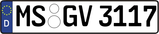 MS-GV3117