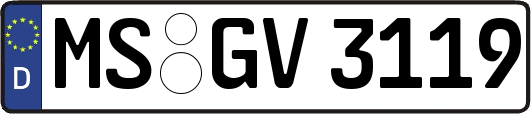 MS-GV3119