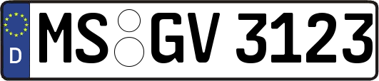 MS-GV3123