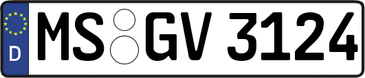 MS-GV3124