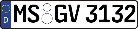MS-GV3132
